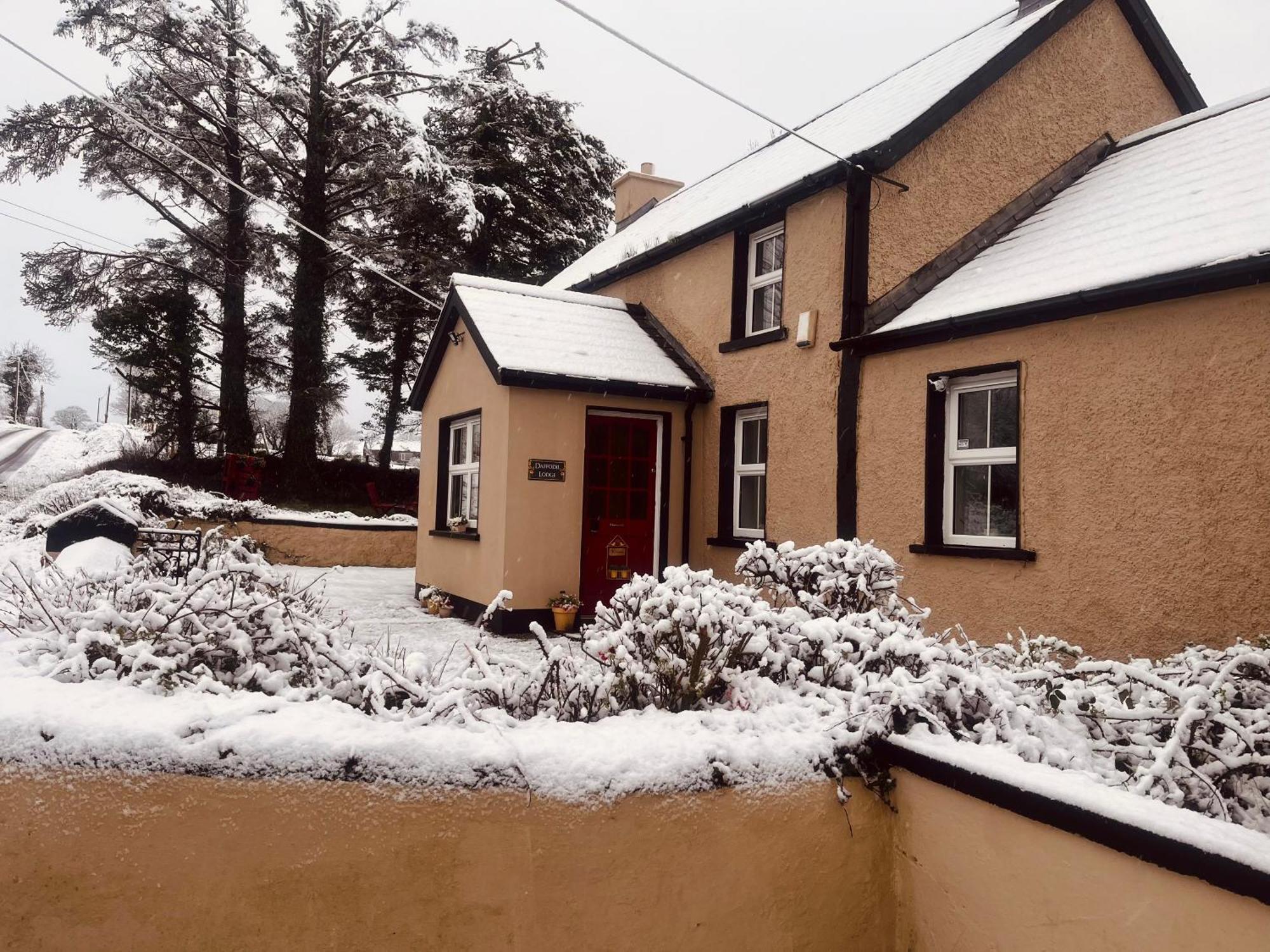 Daffodil Lodge Sligo Luaran gambar